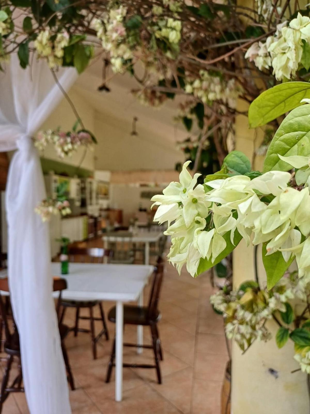 Chacara Rosa Cortiana Bed & Breakfast São Gabriel Екстериор снимка